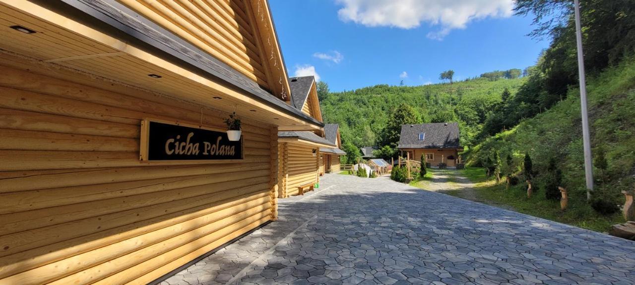 Cicha Polana Villa Szczyrk Bagian luar foto