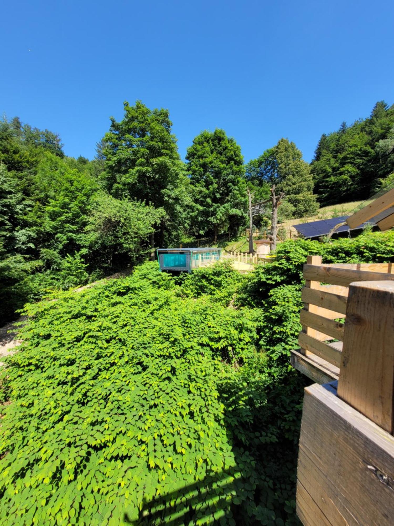 Cicha Polana Villa Szczyrk Bagian luar foto