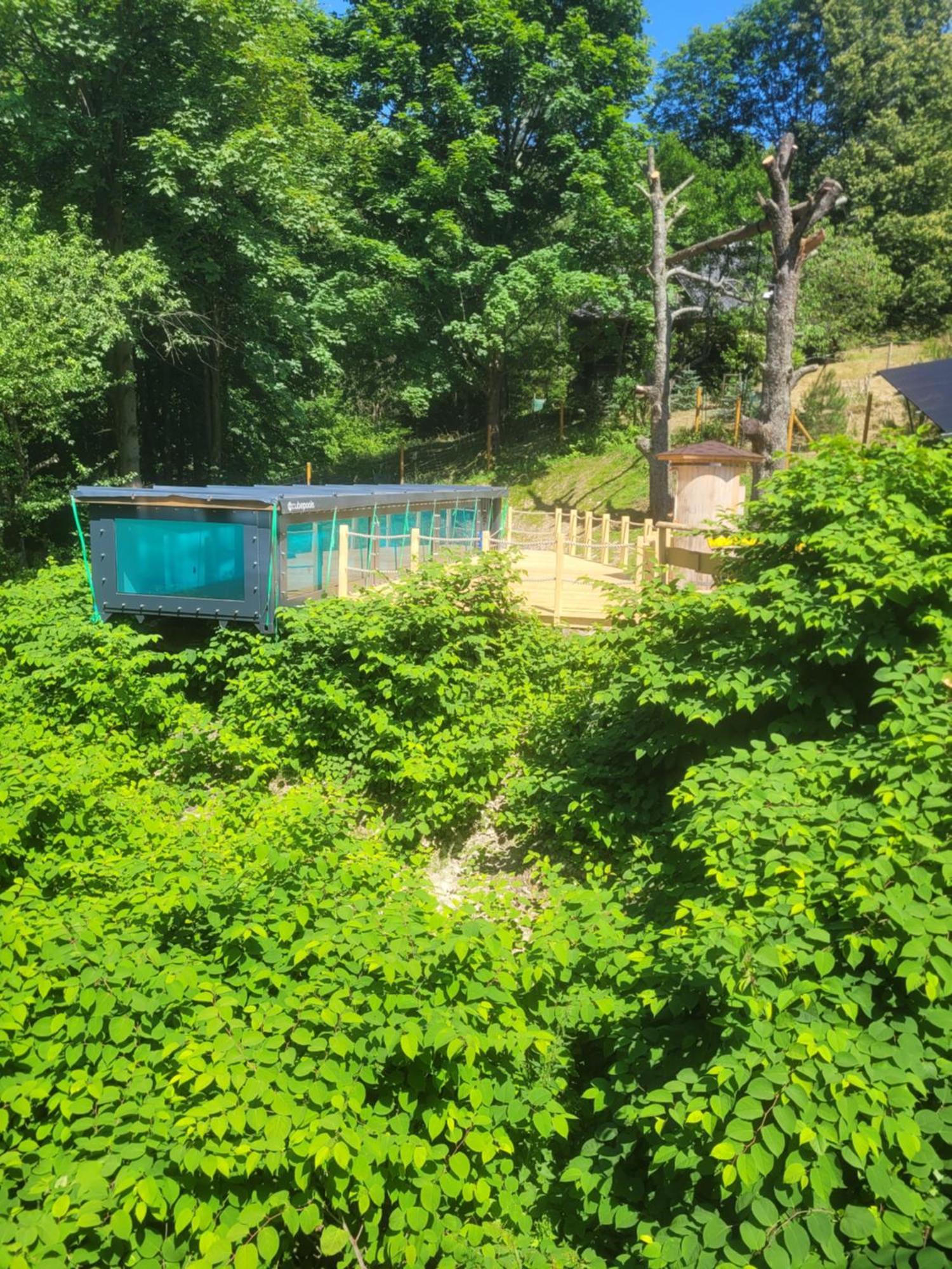 Cicha Polana Villa Szczyrk Bagian luar foto